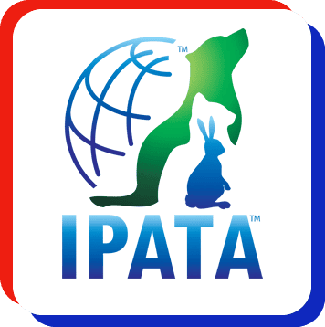 IPATA logo
